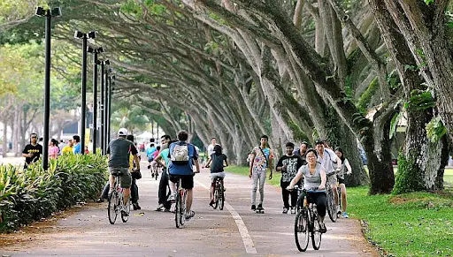 Cycling and Inline Skating