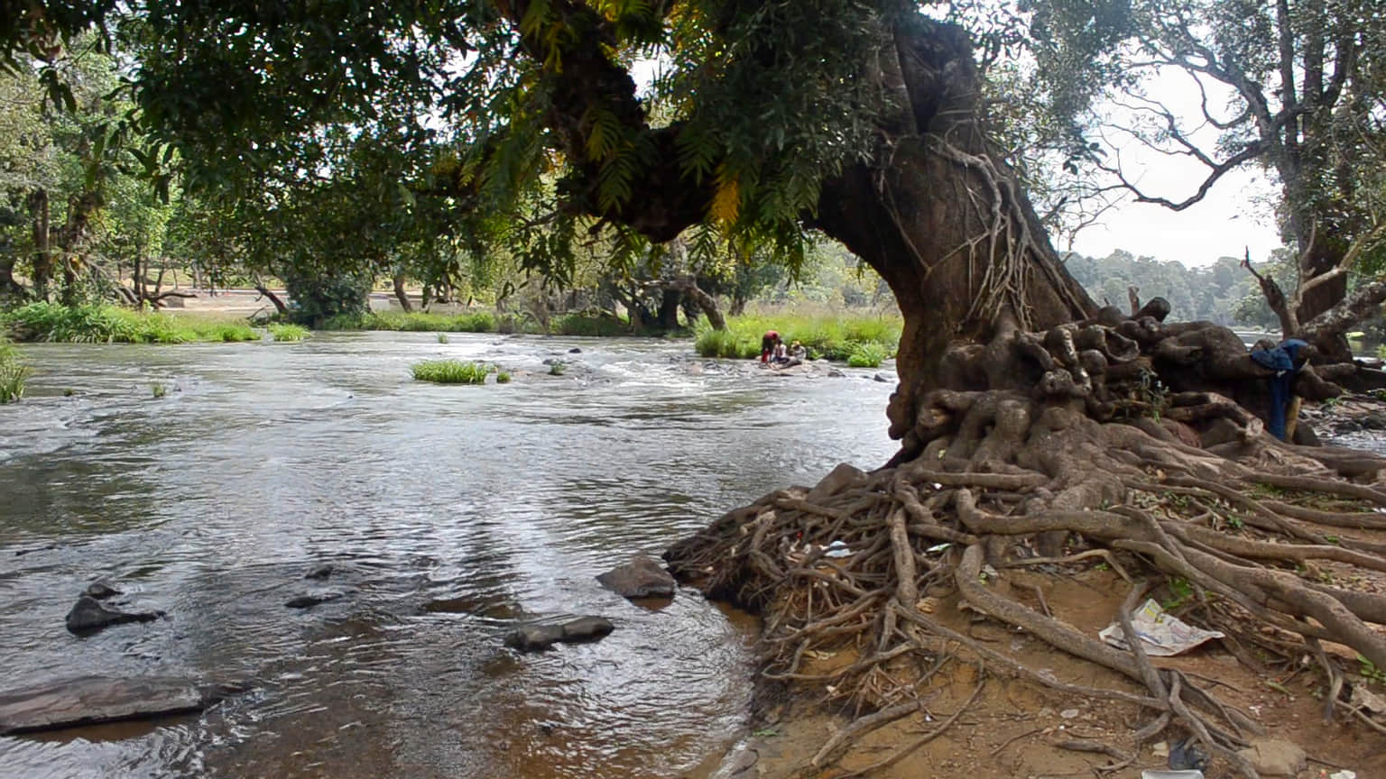 Photo from Dev Acharya's trip