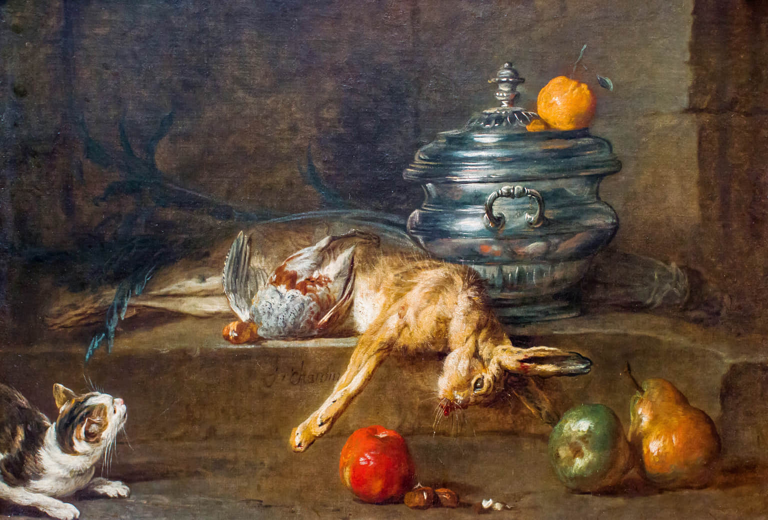 The Cat Museum