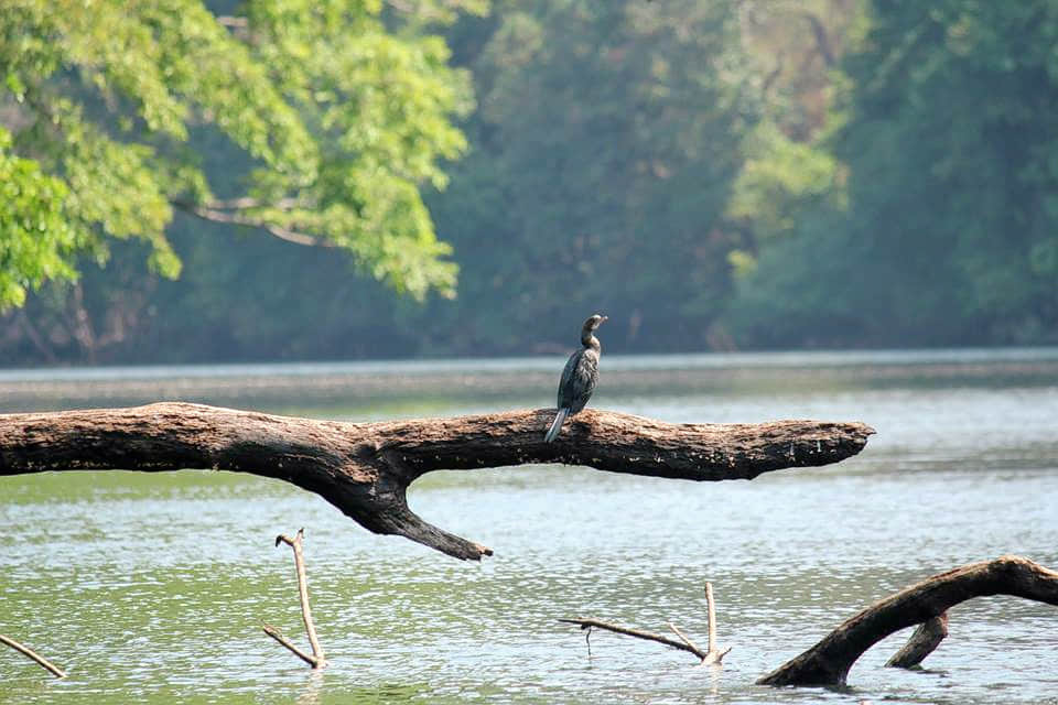 Photo from Brahmdev Somayaji's trip