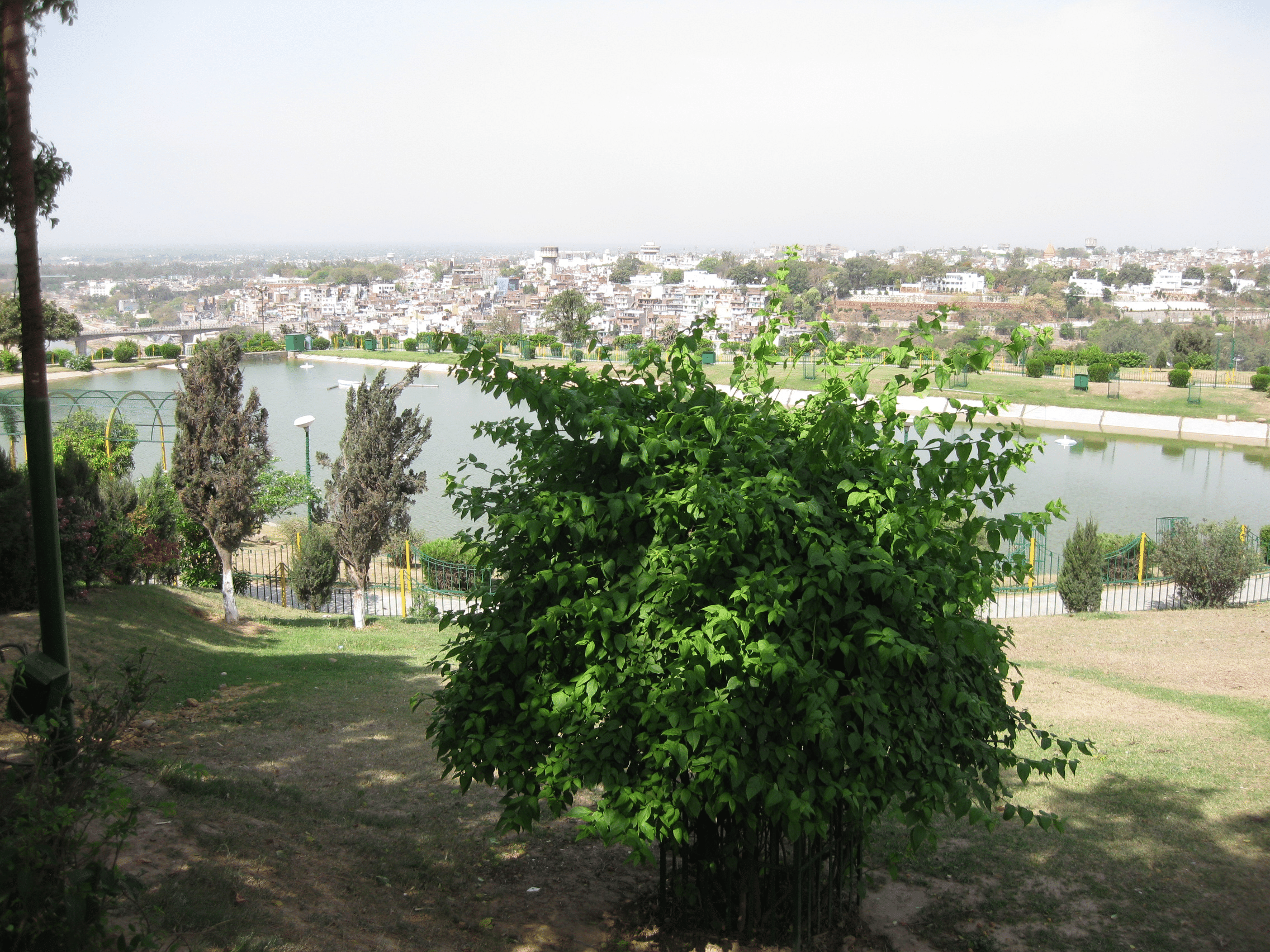 Relax at Bagh-e-Bahu Garden