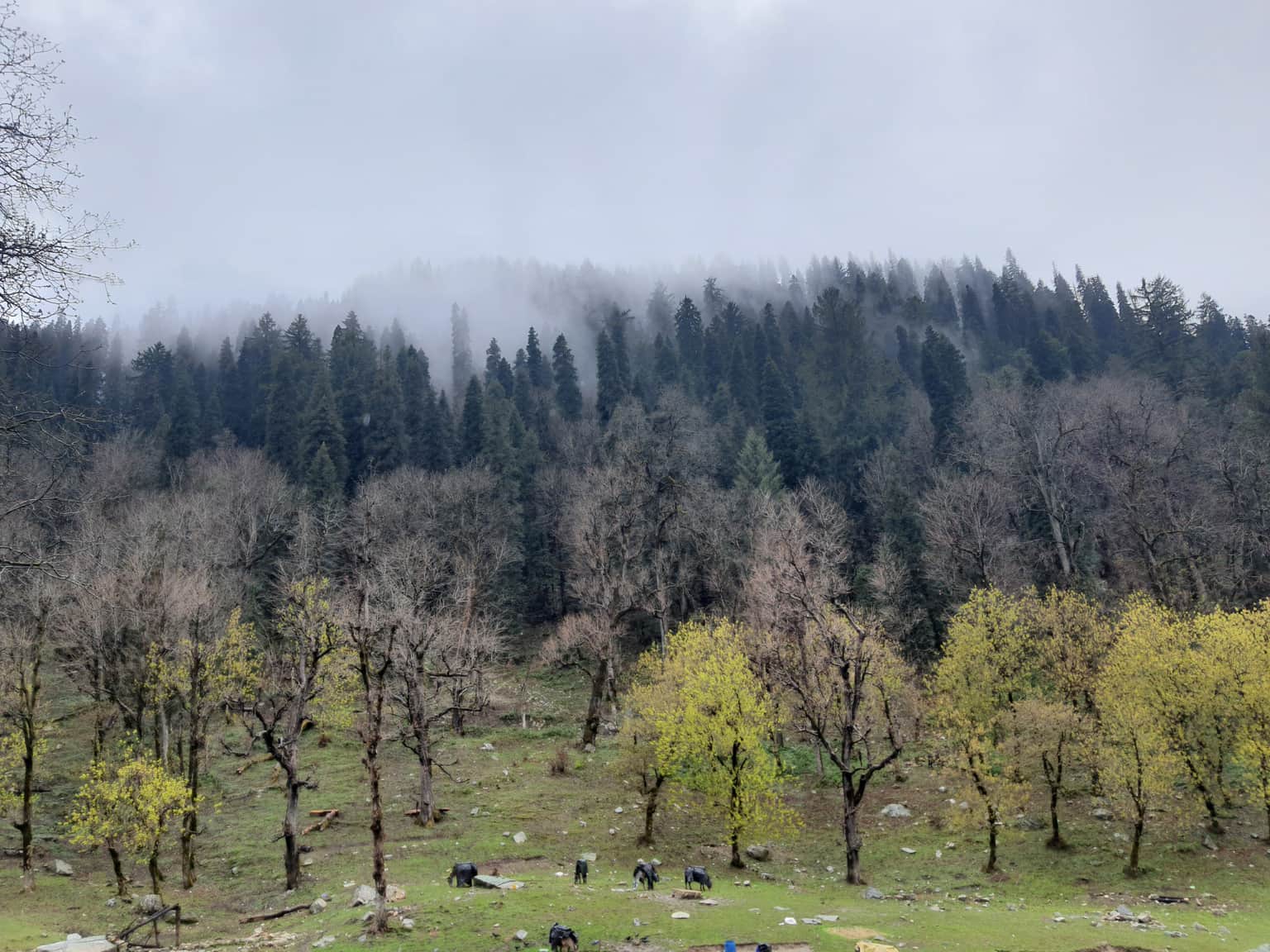 Photo from Jagadish M Kashyap's trip