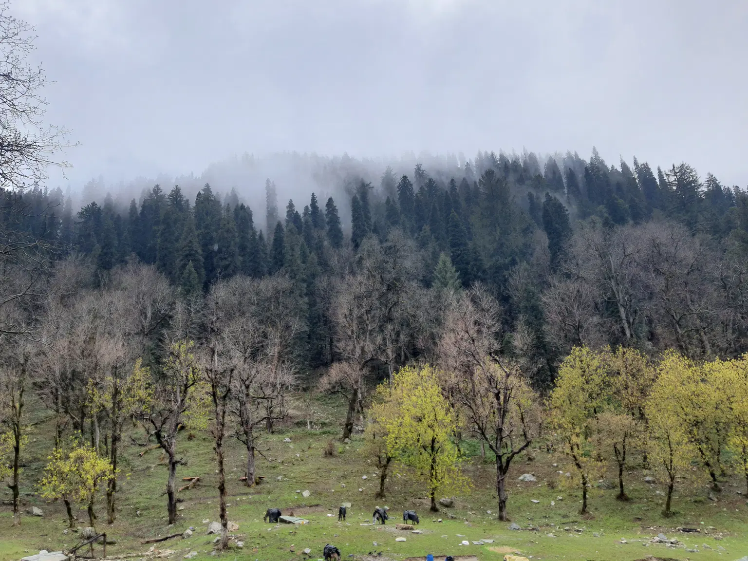 Photo from Jagadish M Kashyap's trip