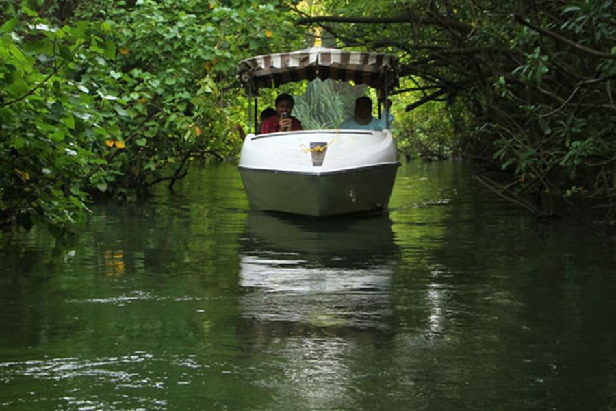 Sunrise Boating at Poovar Island Image