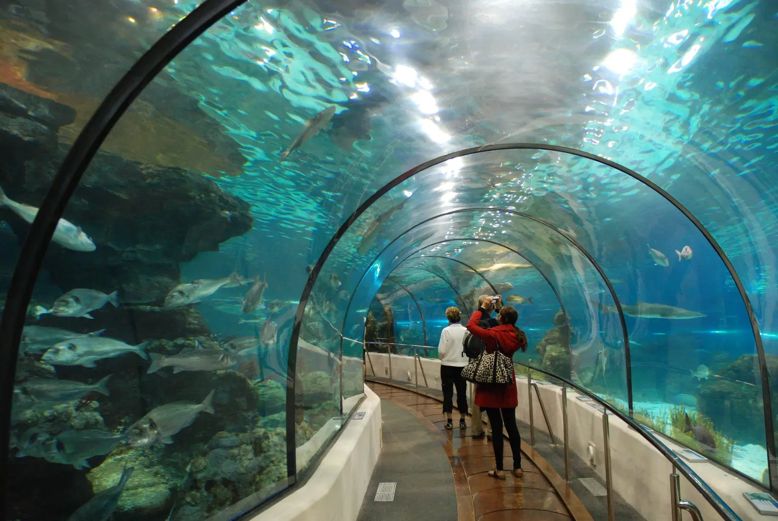 Aquarium Barcelona