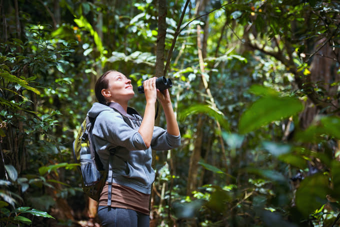 Spot rare birds and wildlife using binoculars on the trek through the tropical dry evergreen forest