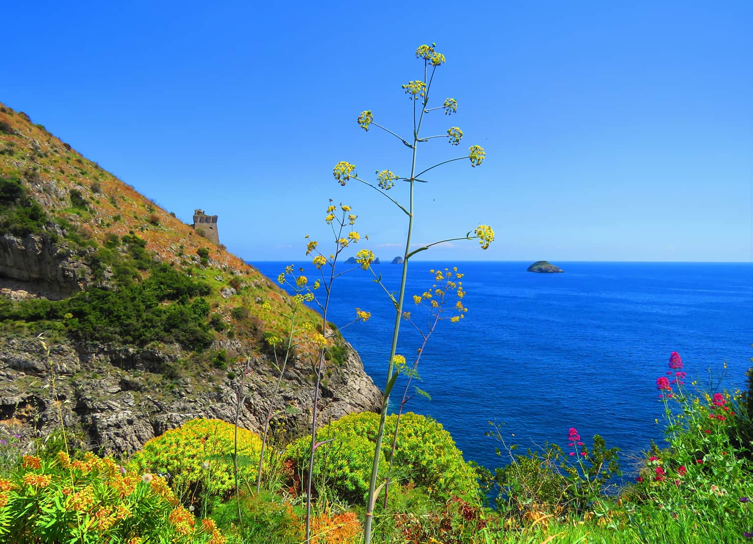 Fiordo di Crapolla, <em>Sorrento</em>