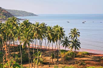 Enjoy a scenic 14-hour tour from Mumbai to Dapoli featuring sightseeing, transfers, and expert driver-cum-guide