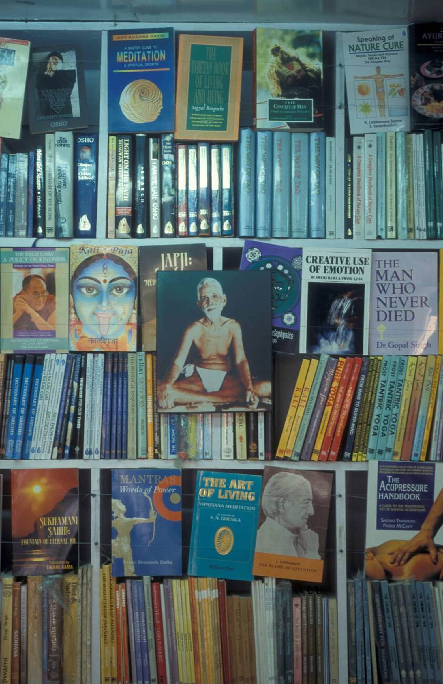 Spend Time at the Ashram Library