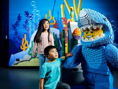 Explore the underwater world at LEGO® Quest with your kids
