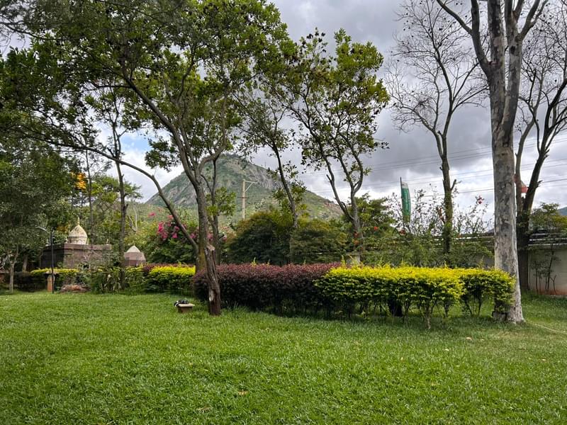 Camping Experience in Nandi Hills Image