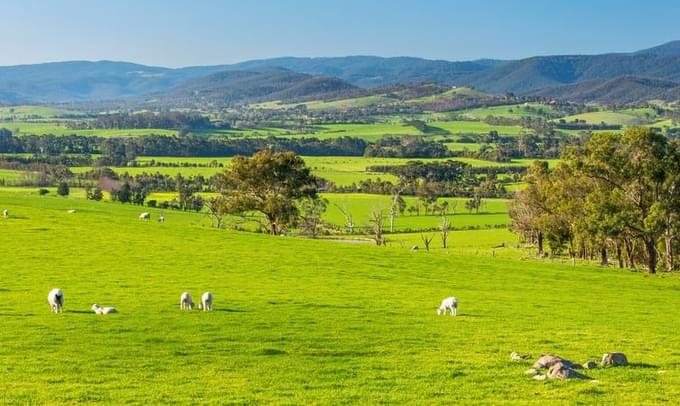 Things To Do In Yarra Valley