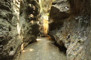 Ewtaq3ne615wtvyd37yryk06lkt0 robbers%20cave