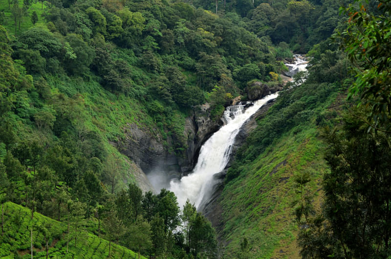 37 Things to Do in Munnar 2024: Upto 40% Off