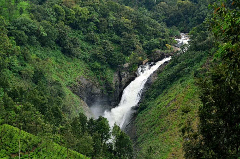 Attukad Waterfalls Overview