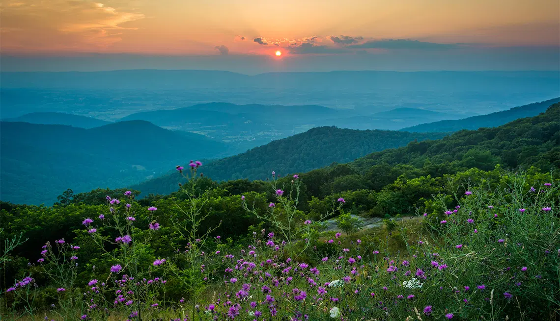 Shenandoah National Park, <em>USA</em>