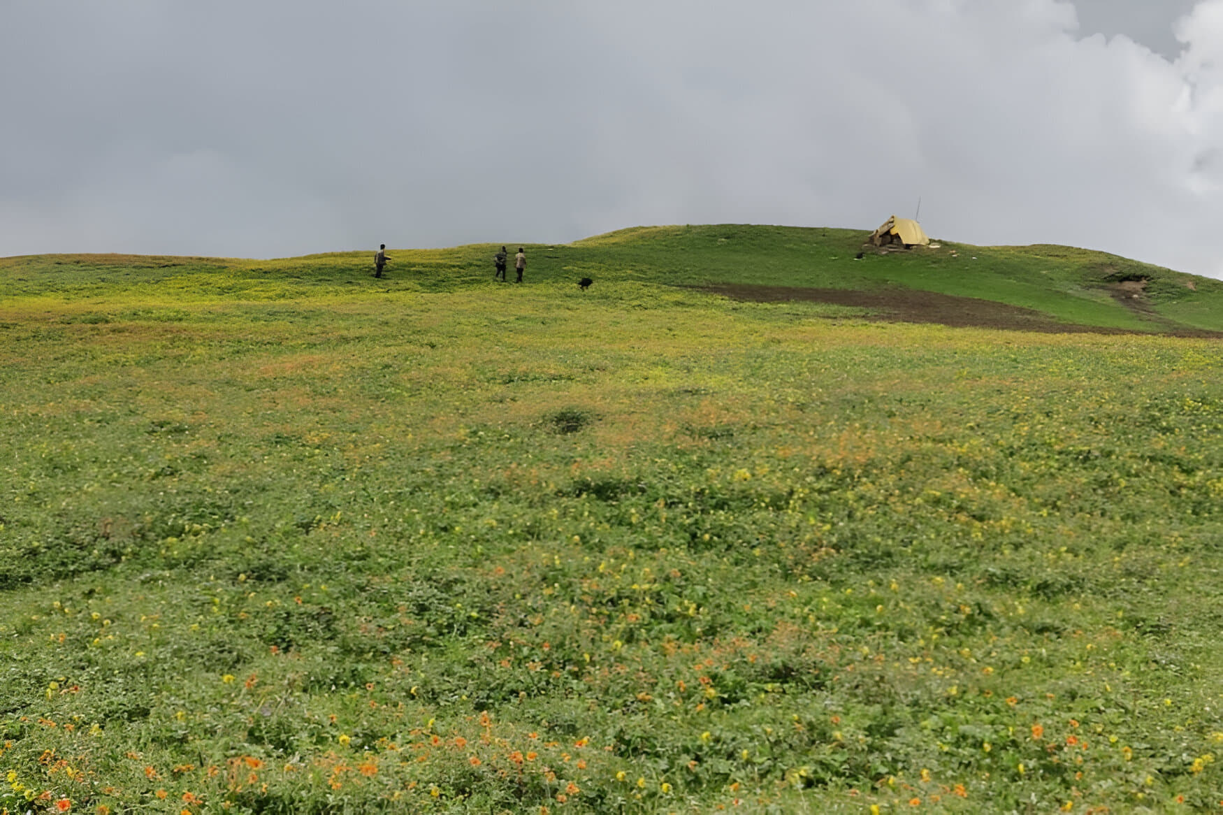 Rani Sui Lake Trek, Manali #5