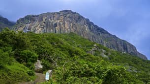 Ey0pehajzykz8b1j6tt2yorbgoni g6