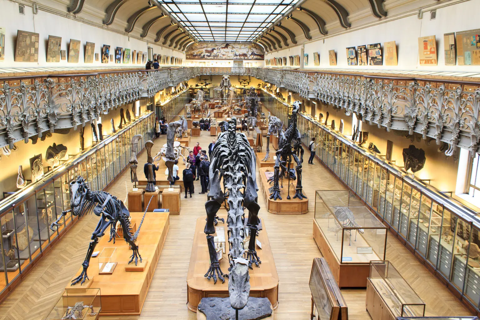 National Museum of Natural History Paris