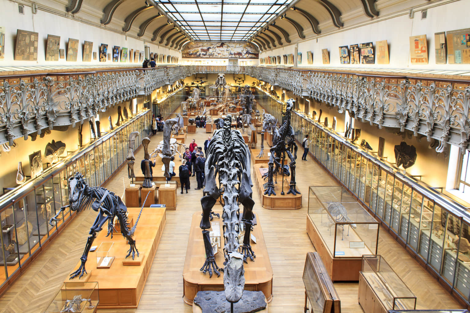 National Museum of Natural History Paris, <em>Paris</em>