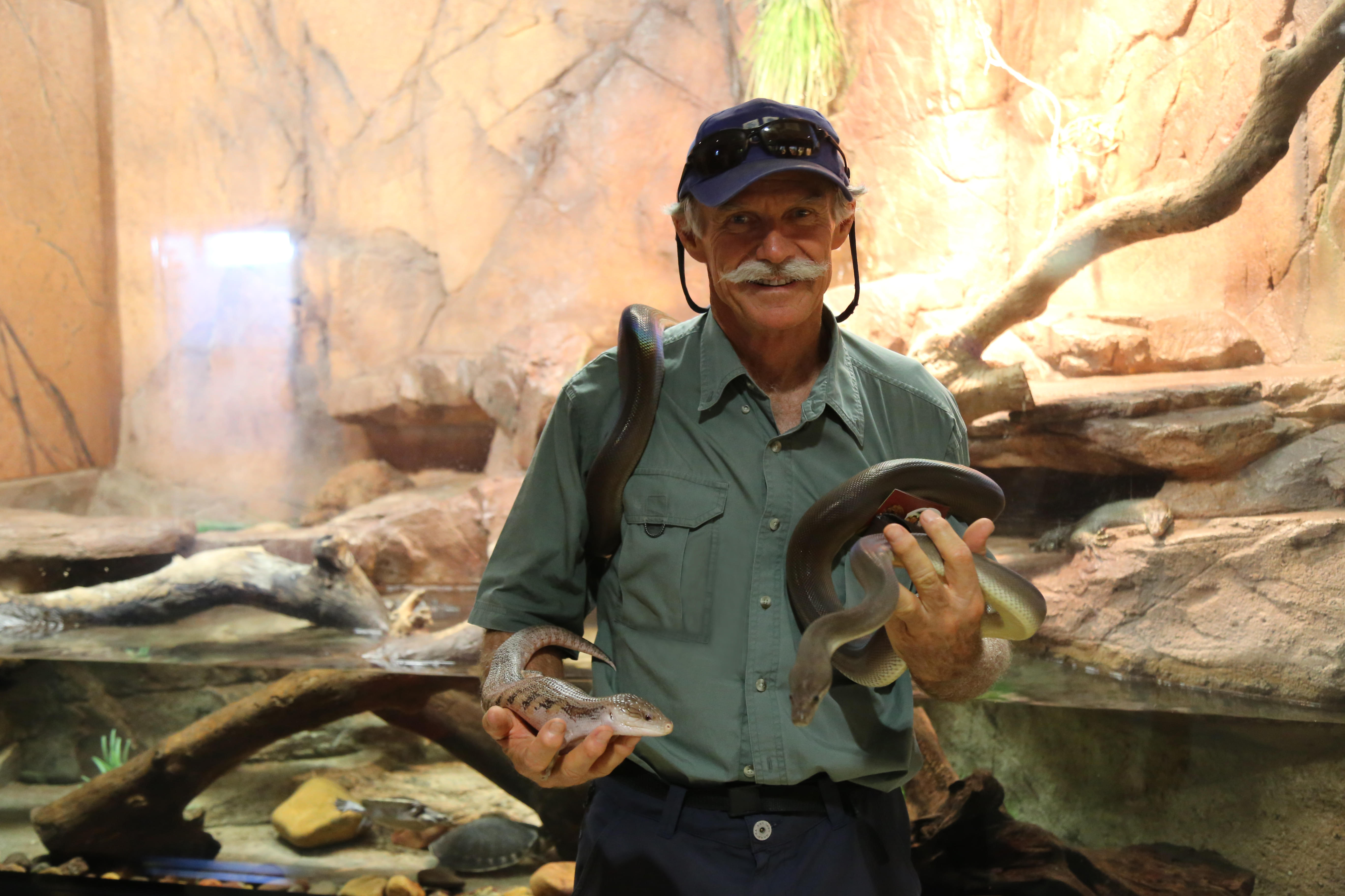 See experts handling dangerous snakes