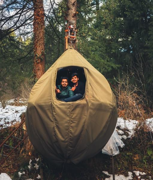 Camping Experiences at Tree Stays Image