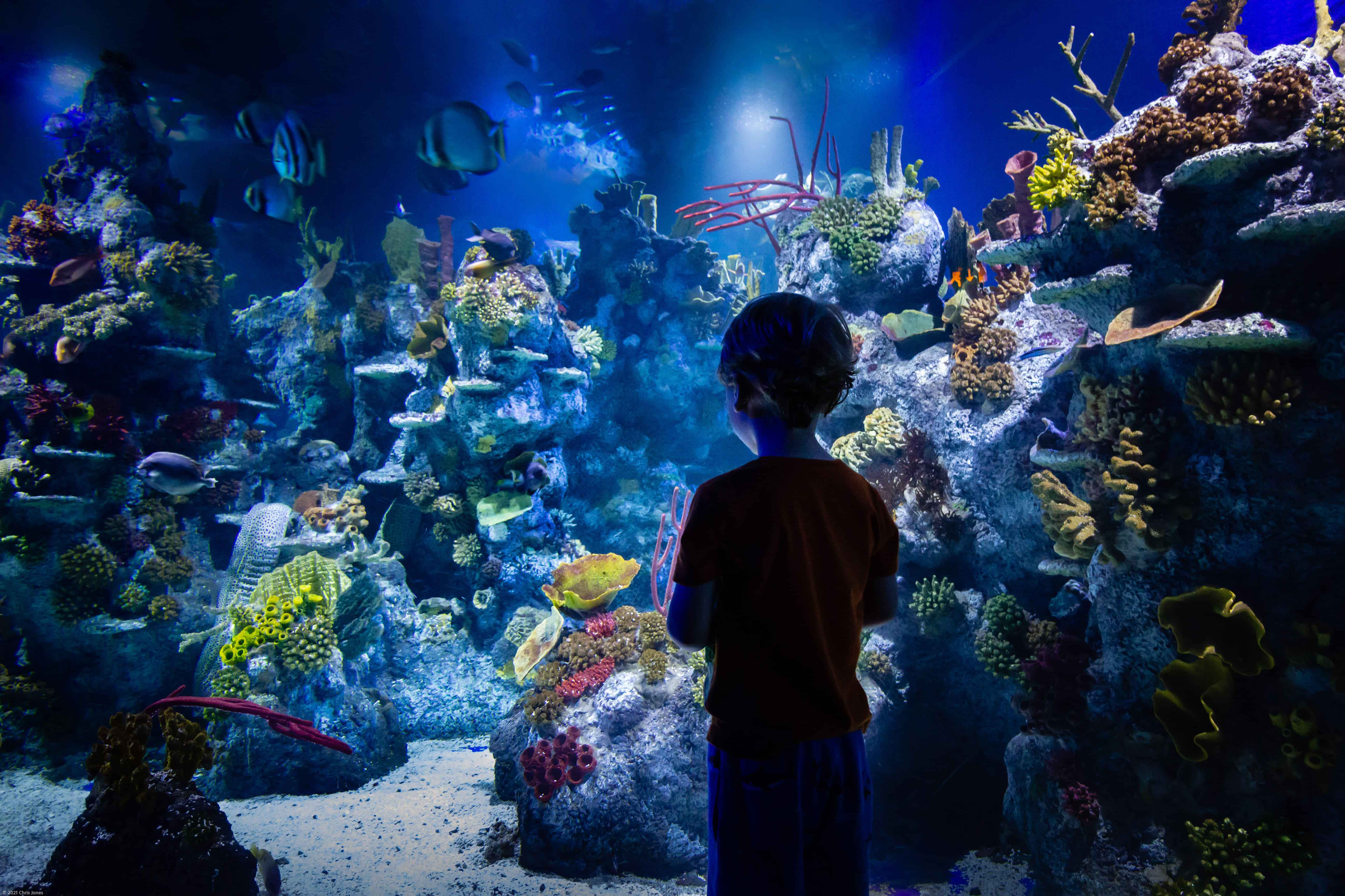 Bristol Aquarium