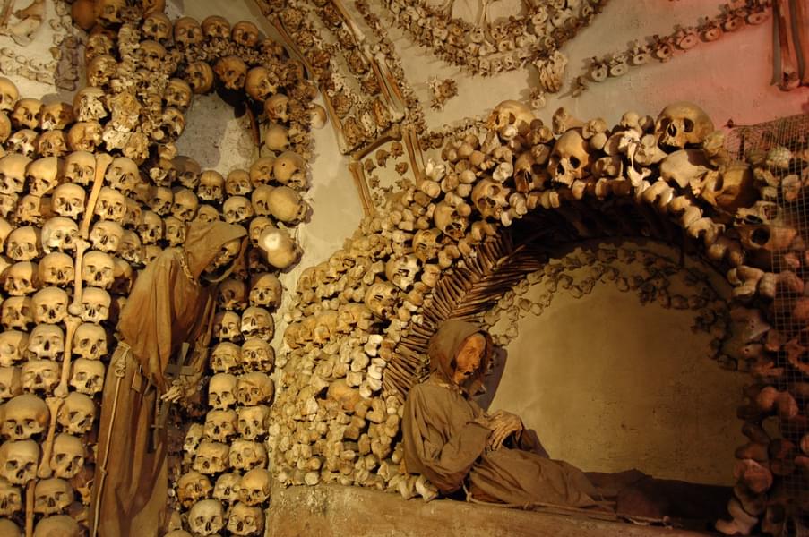 See the unique skeletal wall decoration