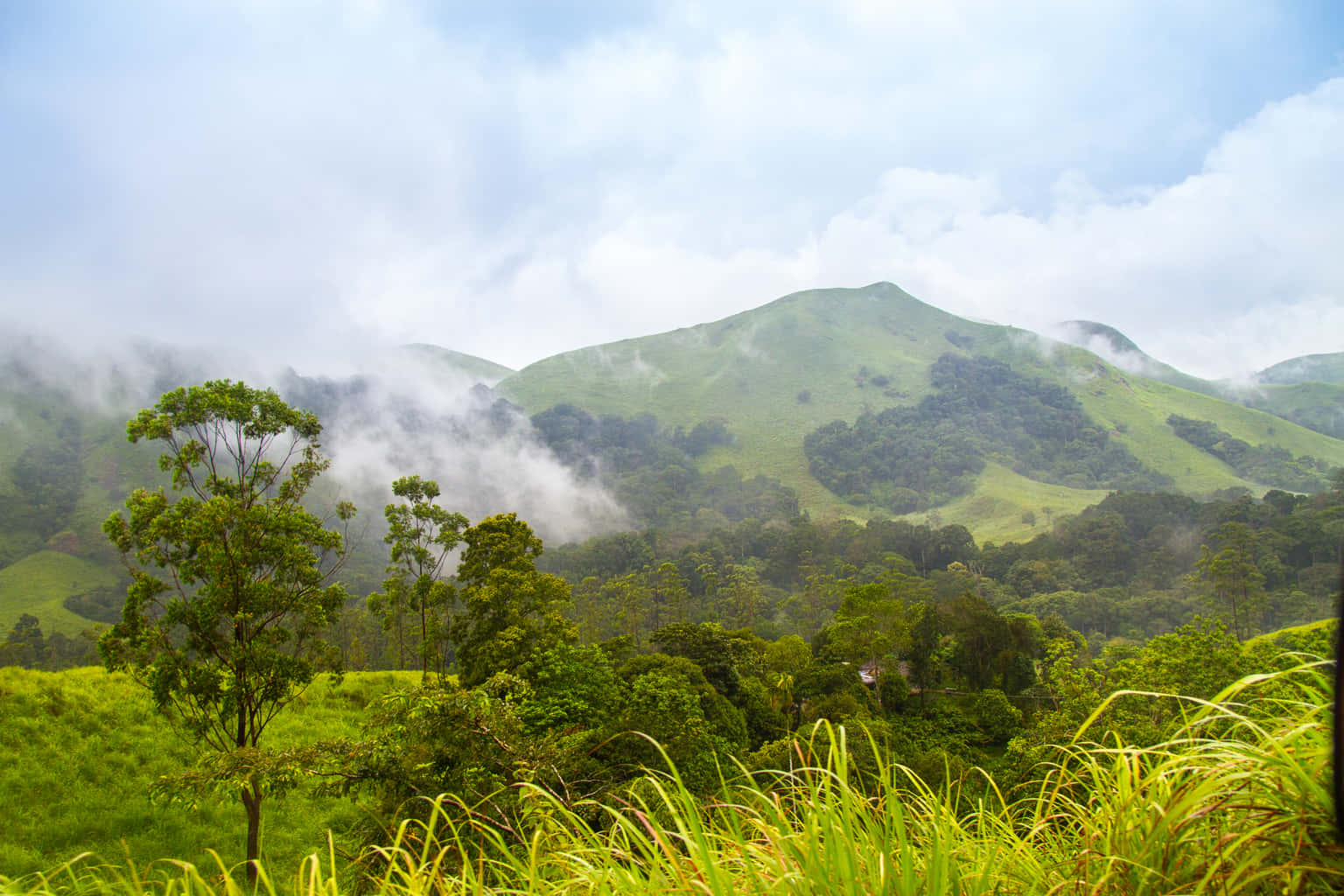 Gavi Jungle Safari From Vallakkadavu
