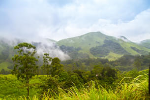 Marvel at the rolling hills that surround the Periyar Tiger Reserve 