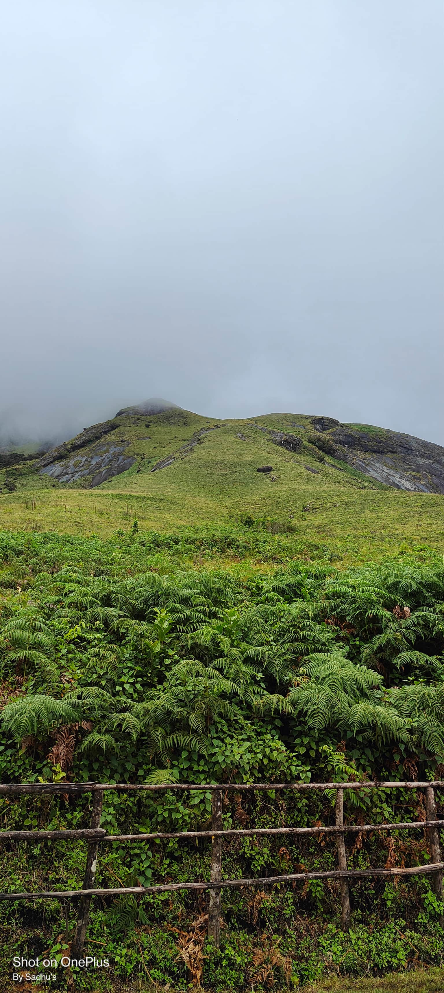 Photo from Satya Sadhu's trip