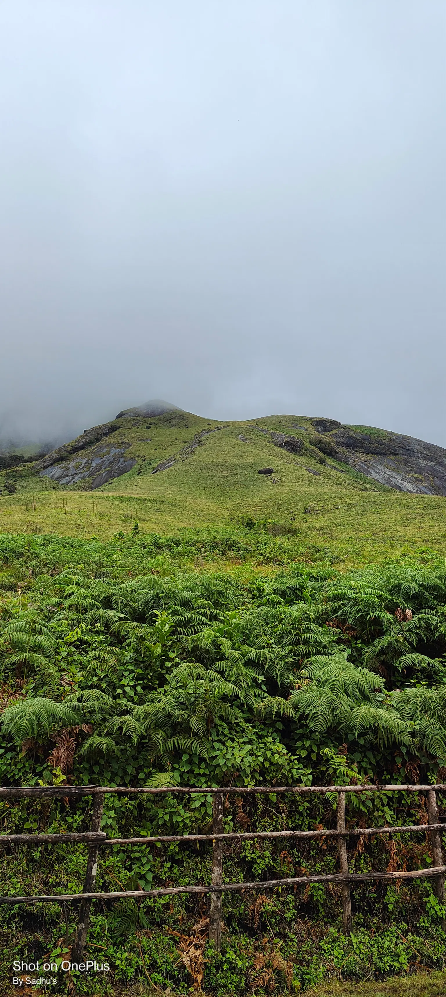Photo from Satya Sadhu's trip