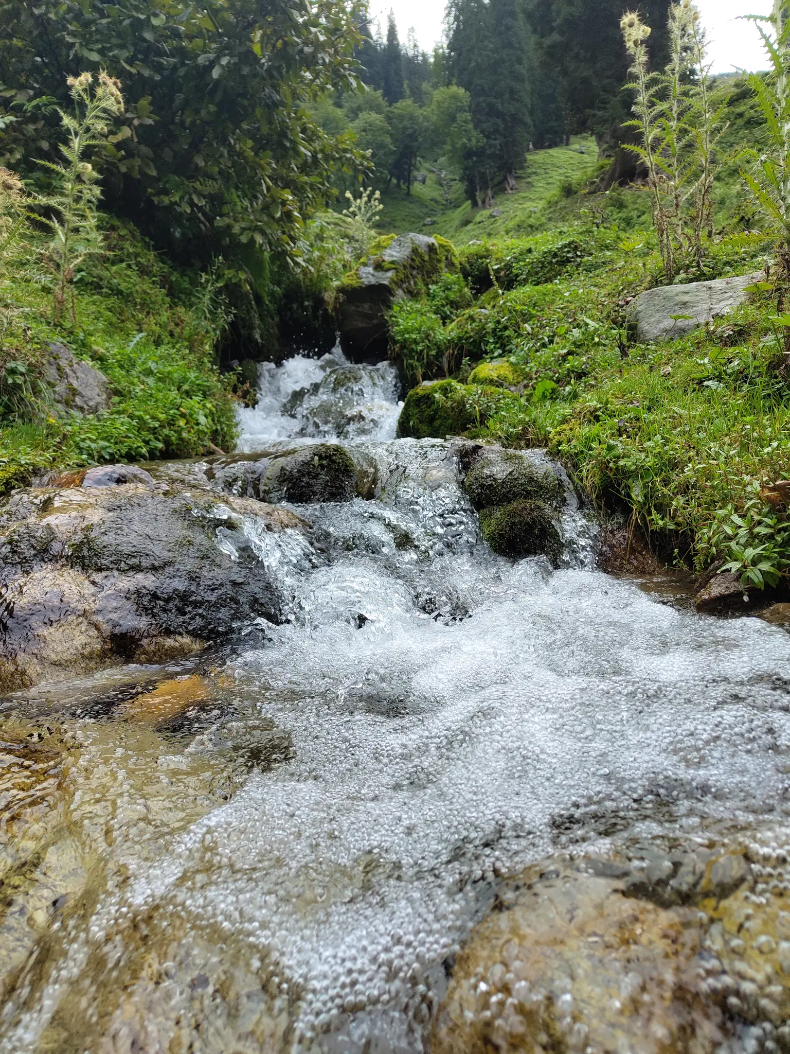 Photo from Piyush Mehta's trip