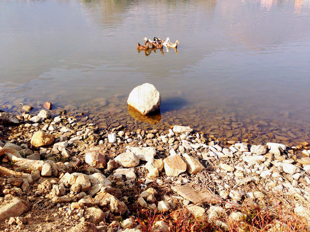 Taudaha Lake, <em>Kathmandu</em>