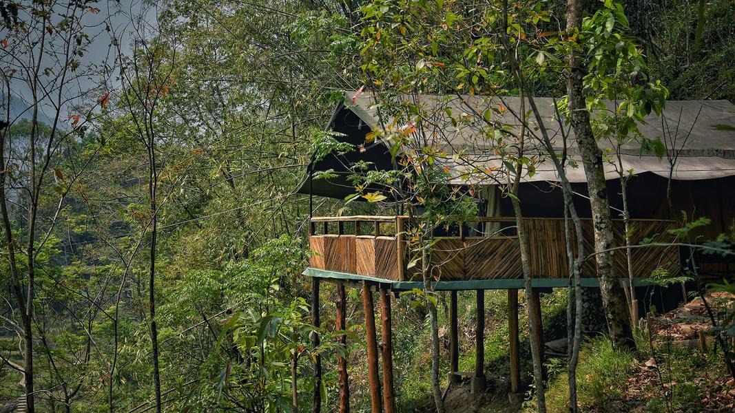 A Farmhouse Stay Amidst Lush Green Valleys Of Darjeeling Image