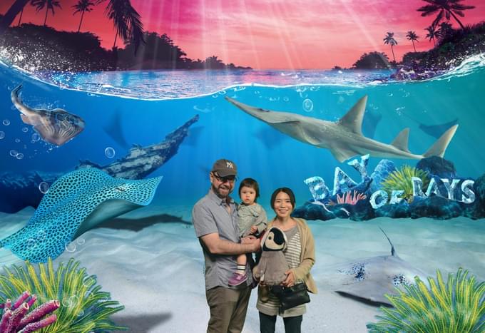 Sea Life Sydney Aquarium Tickets