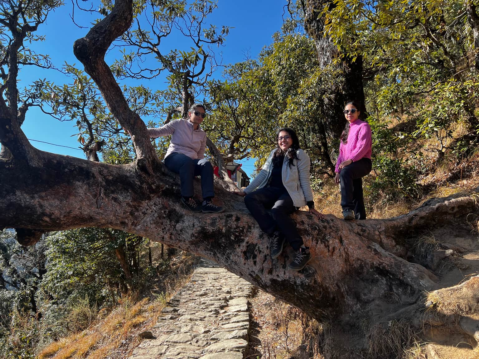 Photo from Srishti Pandey's trip