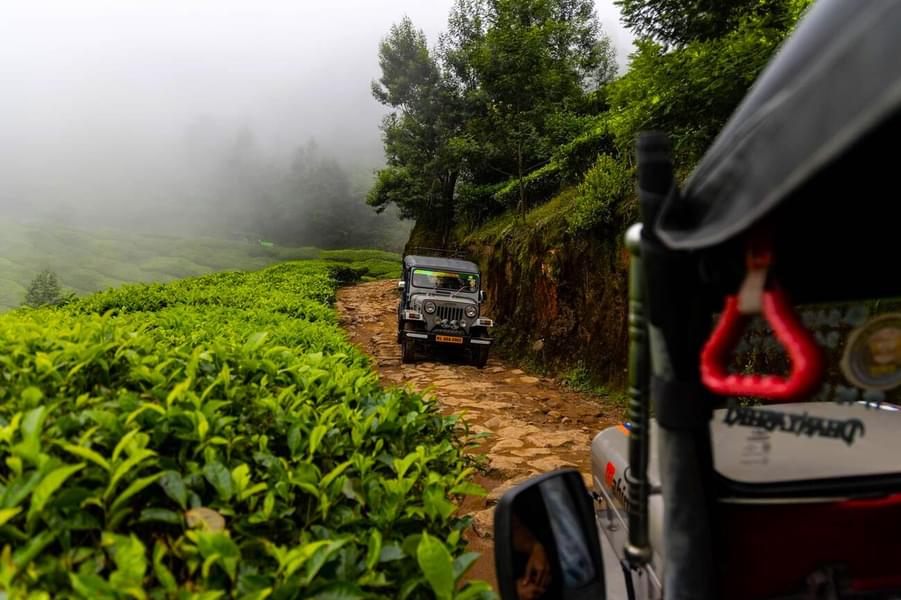Camping in Munnar with Sunrise Jeep Safari Image