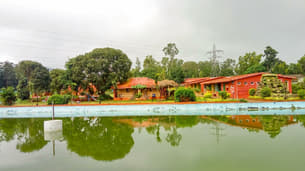 F0kl0j9n98iws7bcqnojo2ddwuq8 1591104719 shutterstock 1213394959