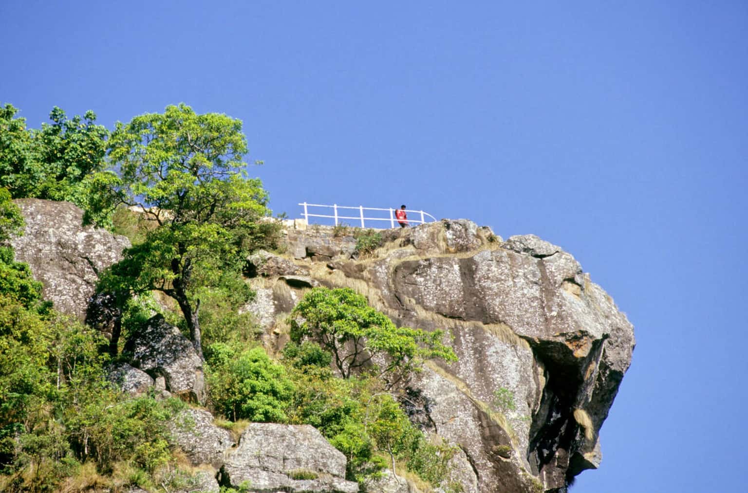 Coonoor Half Day Sightseeing Tour