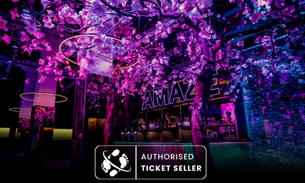 AMAZE, an immersive audiovisual experience