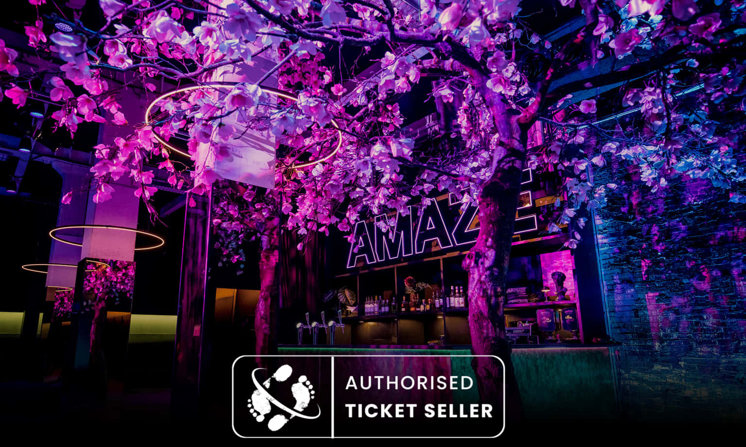 AMAZE Immersive Audiovisual Experience Ticket, Amsterdam