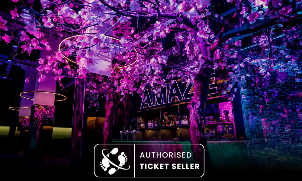 AMAZE Immersive Audiovisual Experience Tickets Image