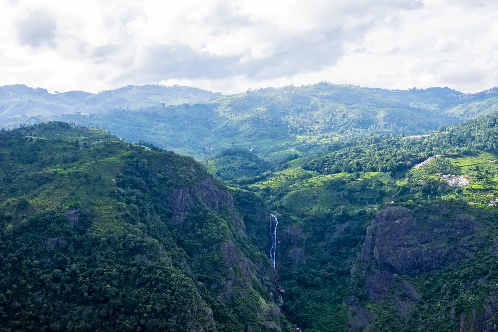 Dolphin’S Nose