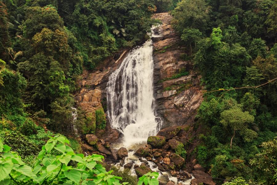 Kerala Escapade Image