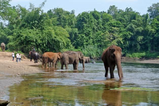 F1bn6dwdh9pf7kwidvlkxm3amxhi dsc 8376 900x602