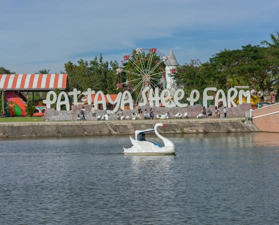 Pattaya Sheep Farm