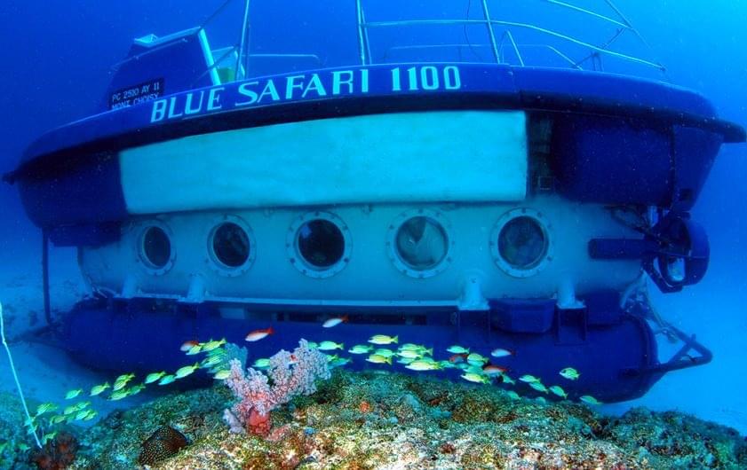 35 Meter Submarine Dive in the Indian Ocean Image