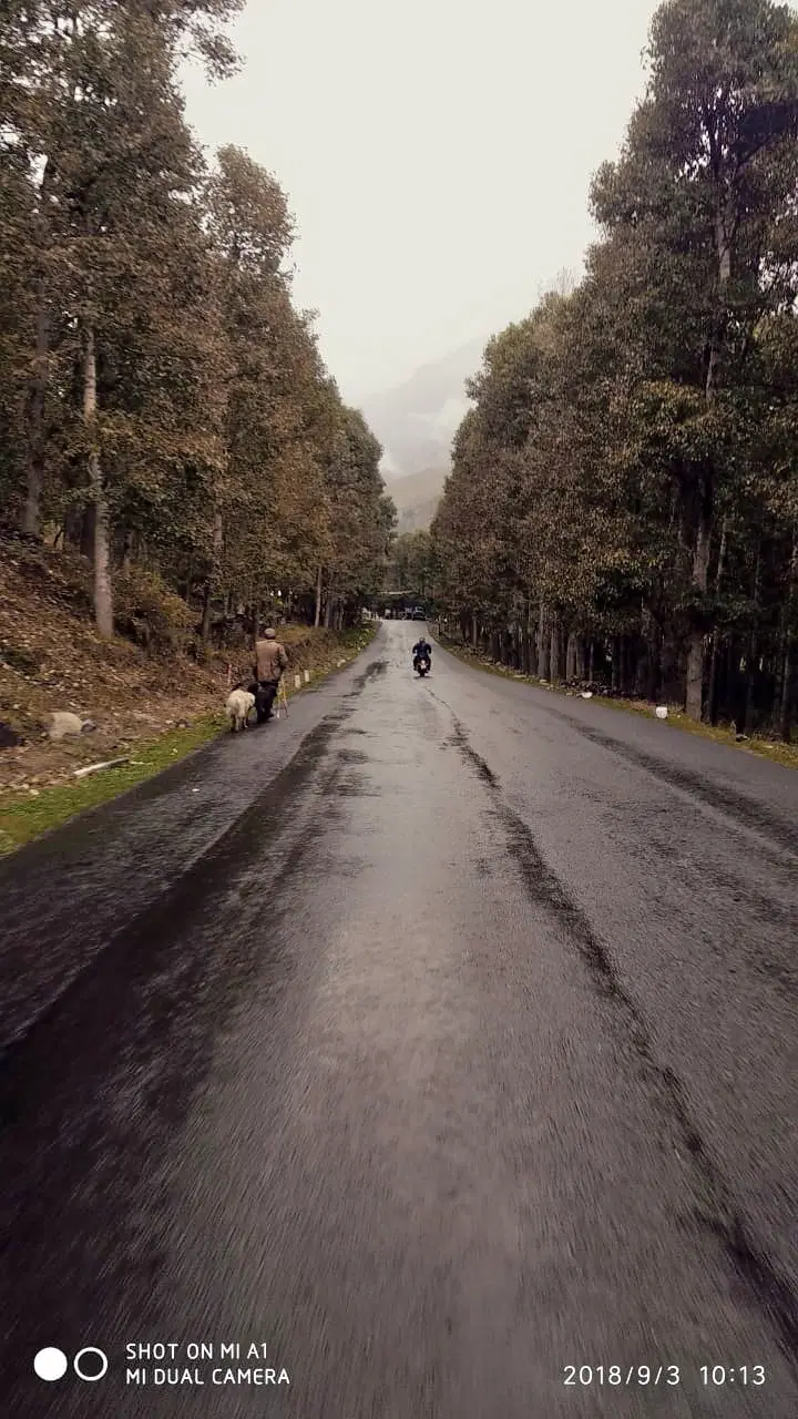 Traveller photo