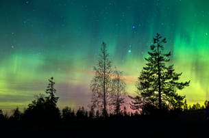 F1zkulgzru4a23c871zhegkad0yn 1598974566 shutterstock 386605279